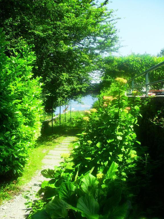 B&B Il Gatto Nero Castelveccana Екстериор снимка