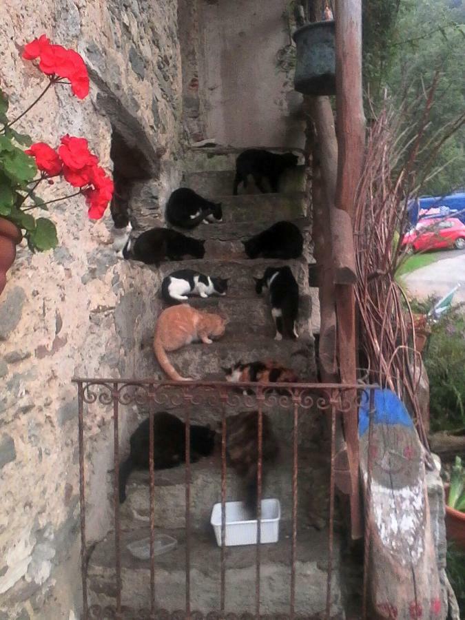 B&B Il Gatto Nero Castelveccana Екстериор снимка